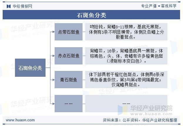 石斑魚一般多少錢一斤