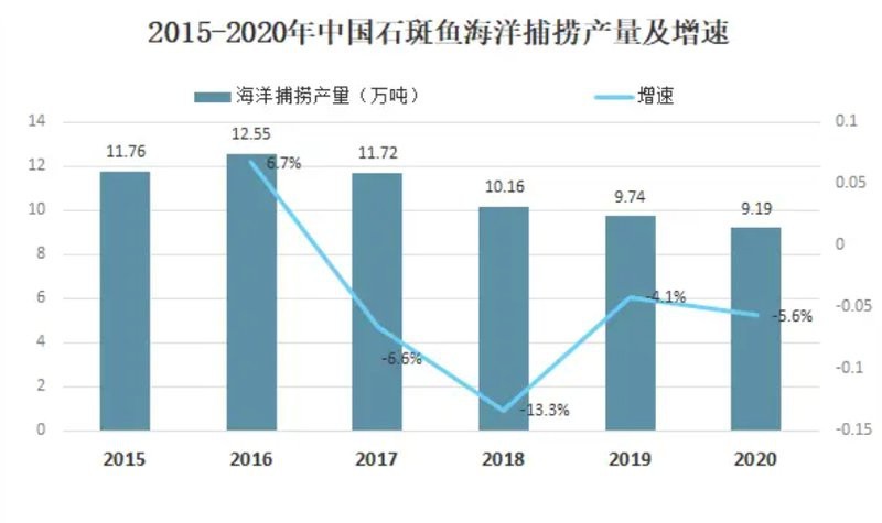 石斑魚一般多少錢一斤