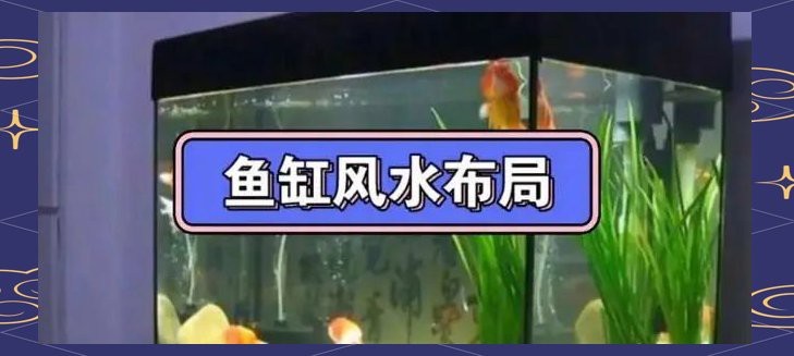 魚缸放客廳哪個(gè)位置旺財(cái)