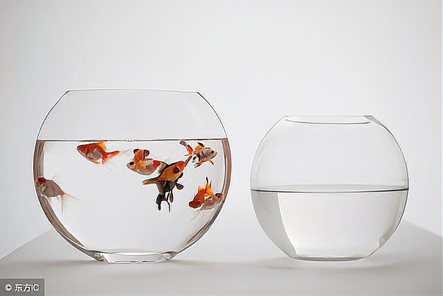 魚缸放客廳哪個(gè)位置旺財(cái)