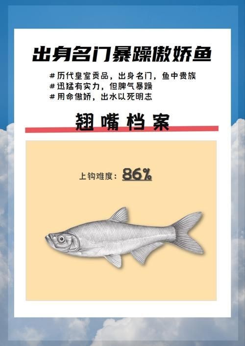 紅翹嘴魚圖片大全