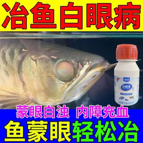 龍魚蒙眼照片