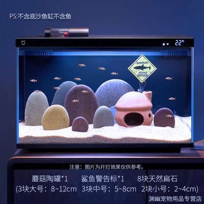 銀龍魚圖片價格表最新（銀龍魚圖片價格表最新版）