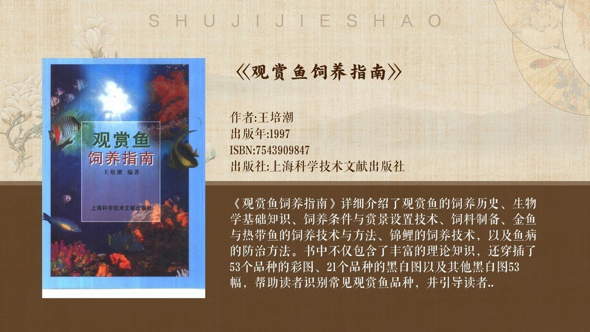 紅色泰國斗魚