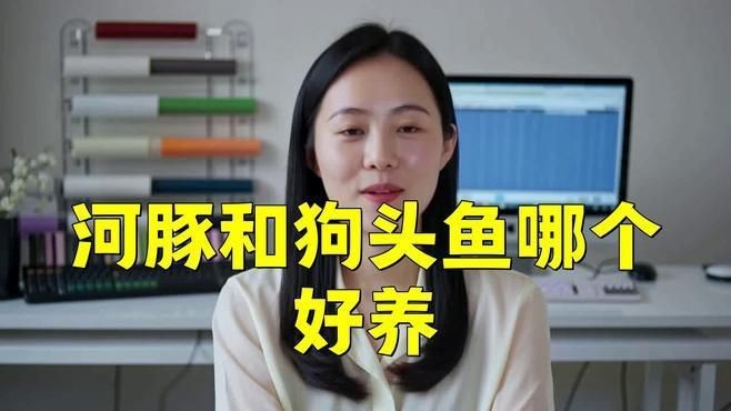 狗頭魚(yú)哪種最兇最好養(yǎng)
