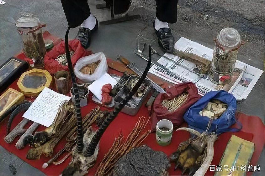 虎的三界帶血真品圖片