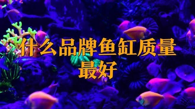 高端水族箱哪個牌子好