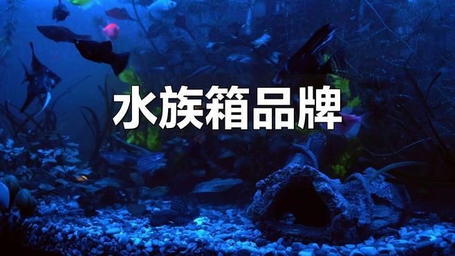 高端水族箱哪個牌子好