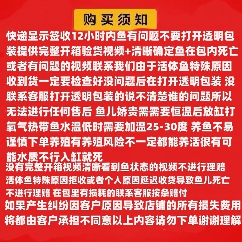 黃化銀龍魚多少錢一條啊圖片欣賞
