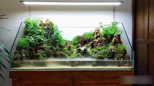 魚缸尺寸120x80x60 魚缸尺寸120x80x60 龍魚論壇 第2張