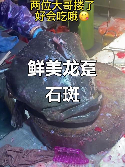 如何判斷龍躉魚是否新鮮？