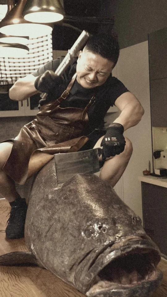 如何判斷龍躉魚是否新鮮？