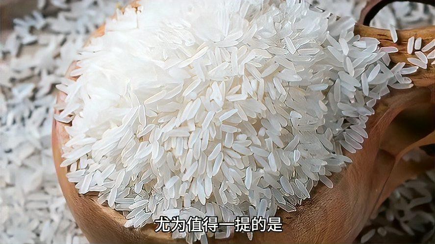 金龍魚特選絲苗米5kg價格