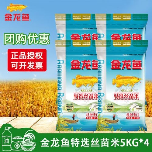 龍魚魚缸價格表和圖片，龍魚魚缸價格表，龍魚魚缸價格表和圖片