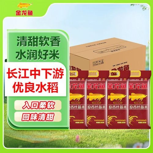 金龍魚特選絲苗米5kg價格