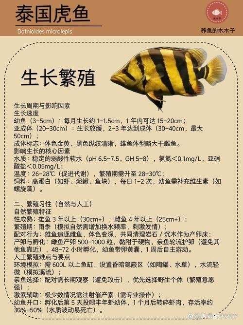 虎刺魚品種圖片