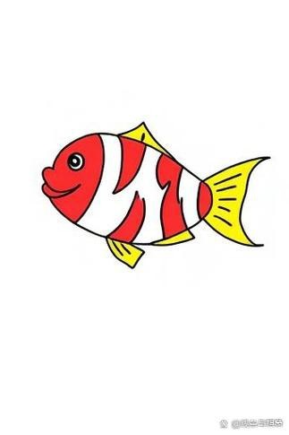 多寶魚圖片簡筆畫
