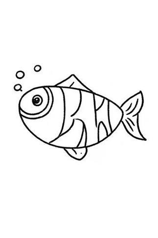 多寶魚圖片簡筆畫