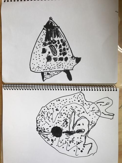 多寶魚圖片簡筆畫