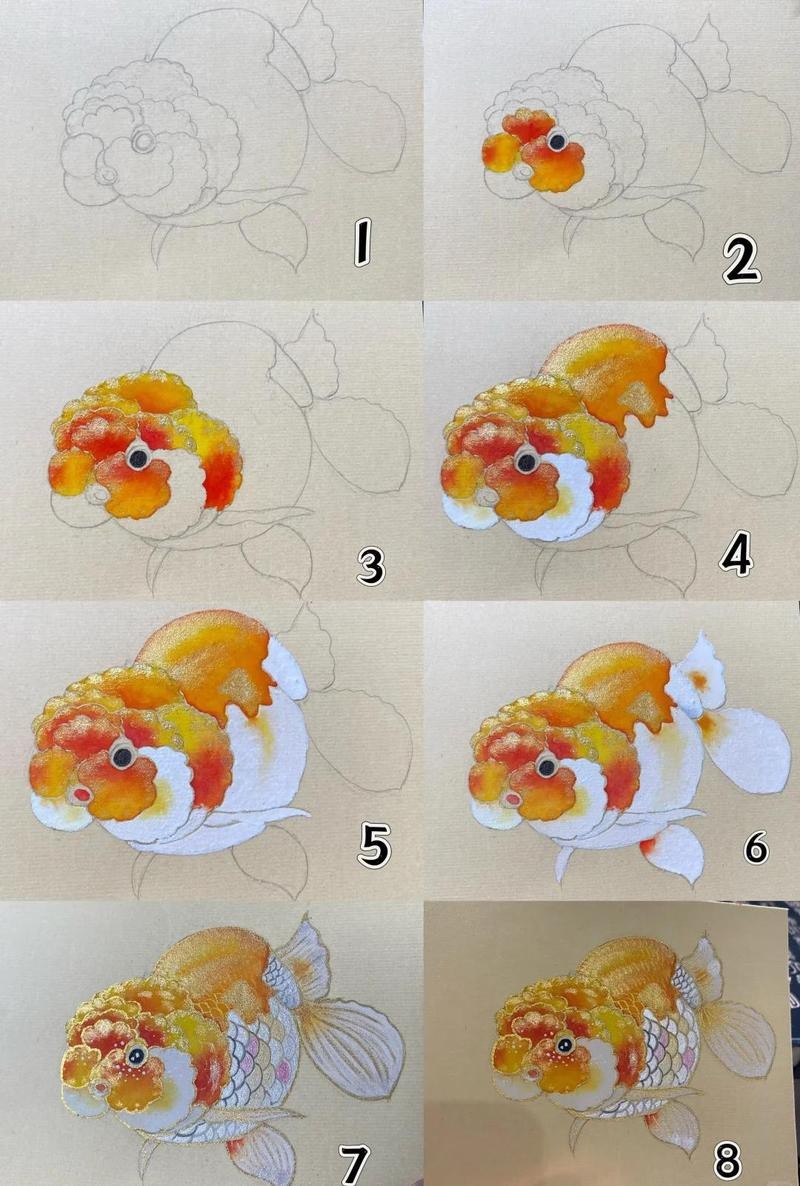 多寶魚圖片簡筆畫