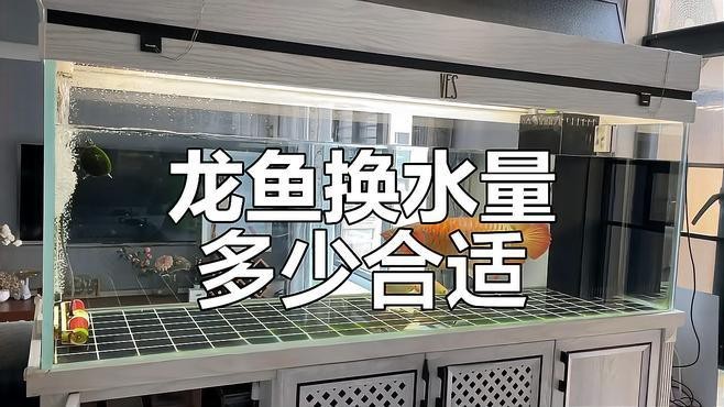 龍魚換水時需要注意什么？