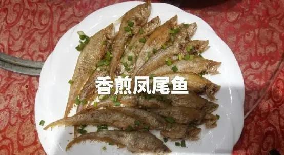 淡水鳳尾魚 淡水鳳尾魚 龍魚論壇 第4張