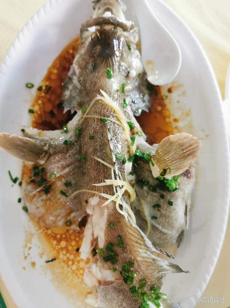 花斑魚和石斑魚圖片