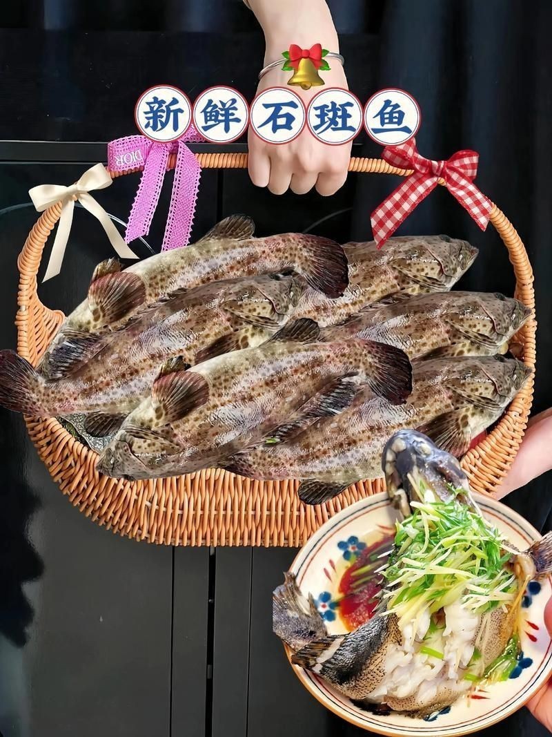 花斑魚和石斑魚圖片