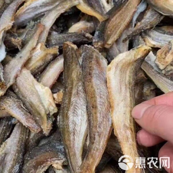 龍頭魚的價格是多少？