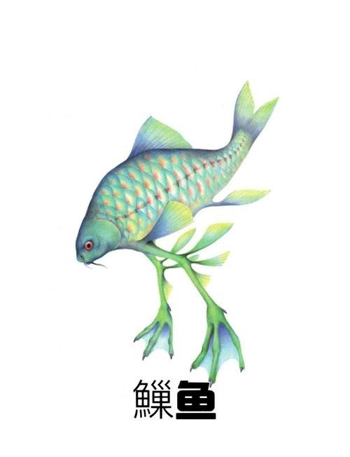 短吻鼻魚的圖片