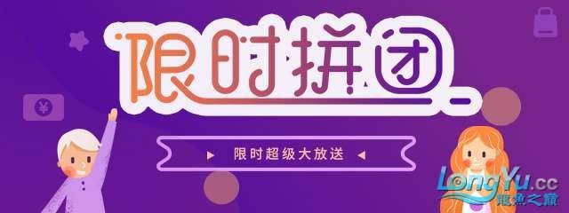 開(kāi)店必備小鄰喊你來(lái)拼采想你所想與你所需