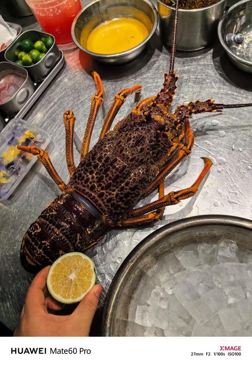祥龍魚場官網有龍魚排行嗎？，祥龍魚場官網是否有龍魚排行
