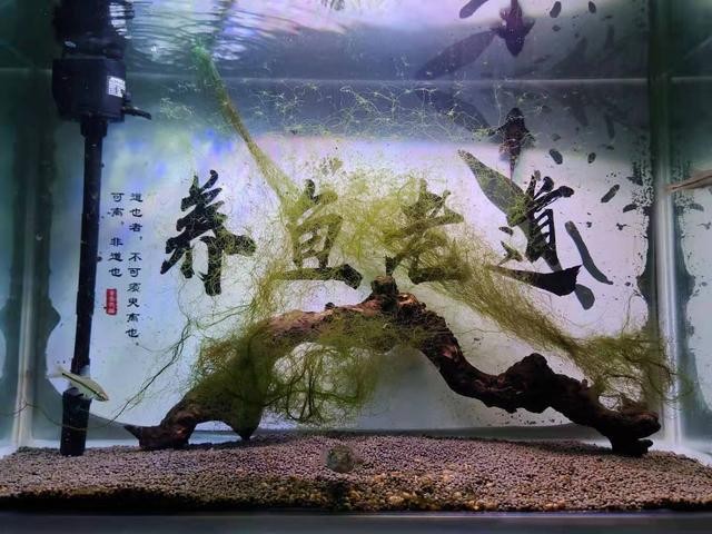 太原市萬柏林區(qū)安業(yè)水族館（太原市萬柏林區(qū)安業(yè)水族館電話）