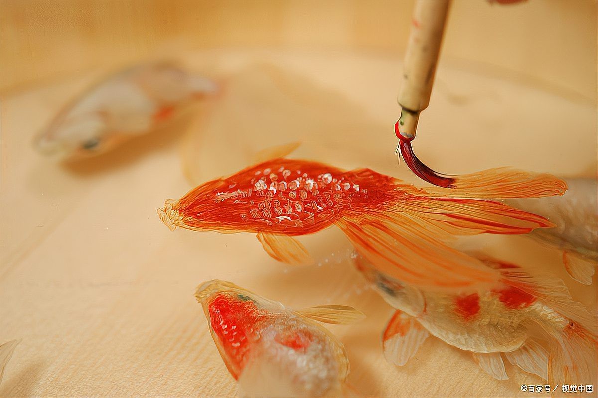 孔雀魚吃饅頭渣嗎
