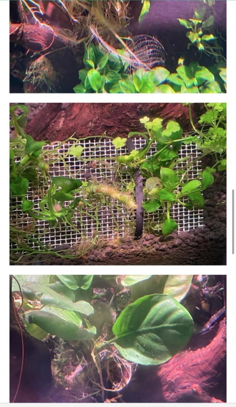 南美水族論壇官網入口