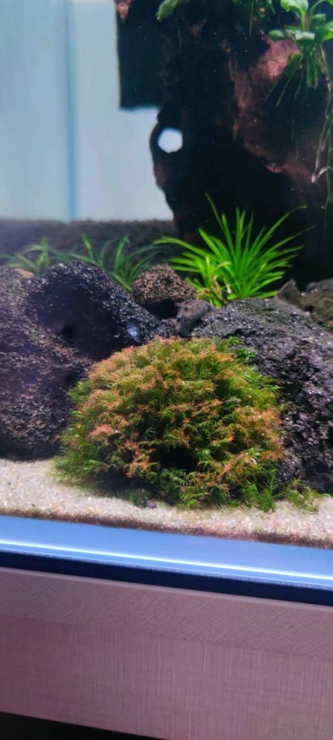 南美水族論壇官網入口