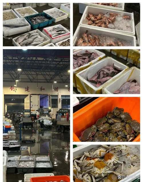 揚州龍魚批發價格表圖片