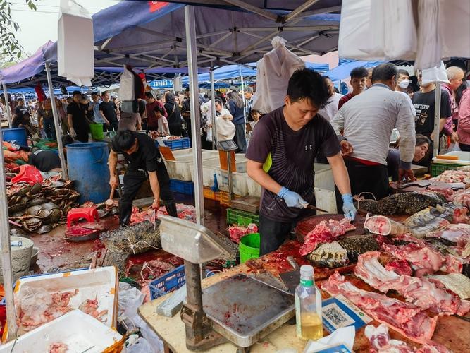 揚州龍魚批發價格表圖片