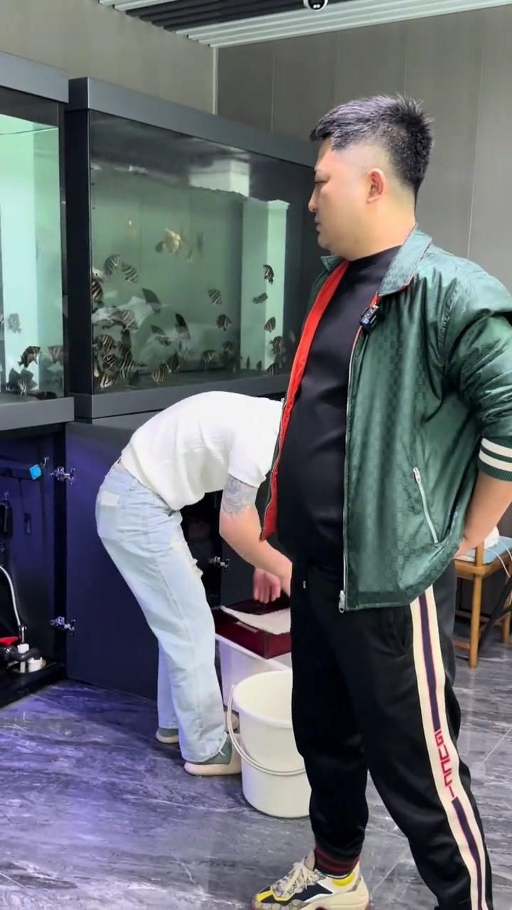 虎魚怎么挑選品相