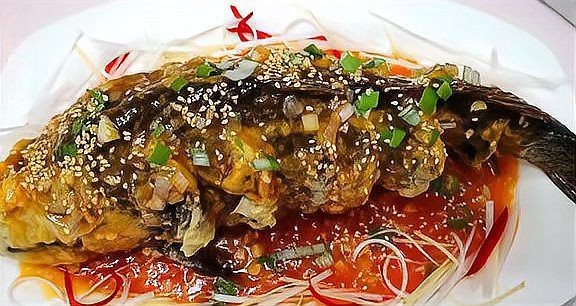 紅面財神魚最忌三種食物一覽表