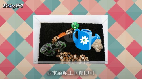 天津市薊州區(qū)美鯛魚水族館（天津市薊州區(qū)美鯛魚水族館地址）