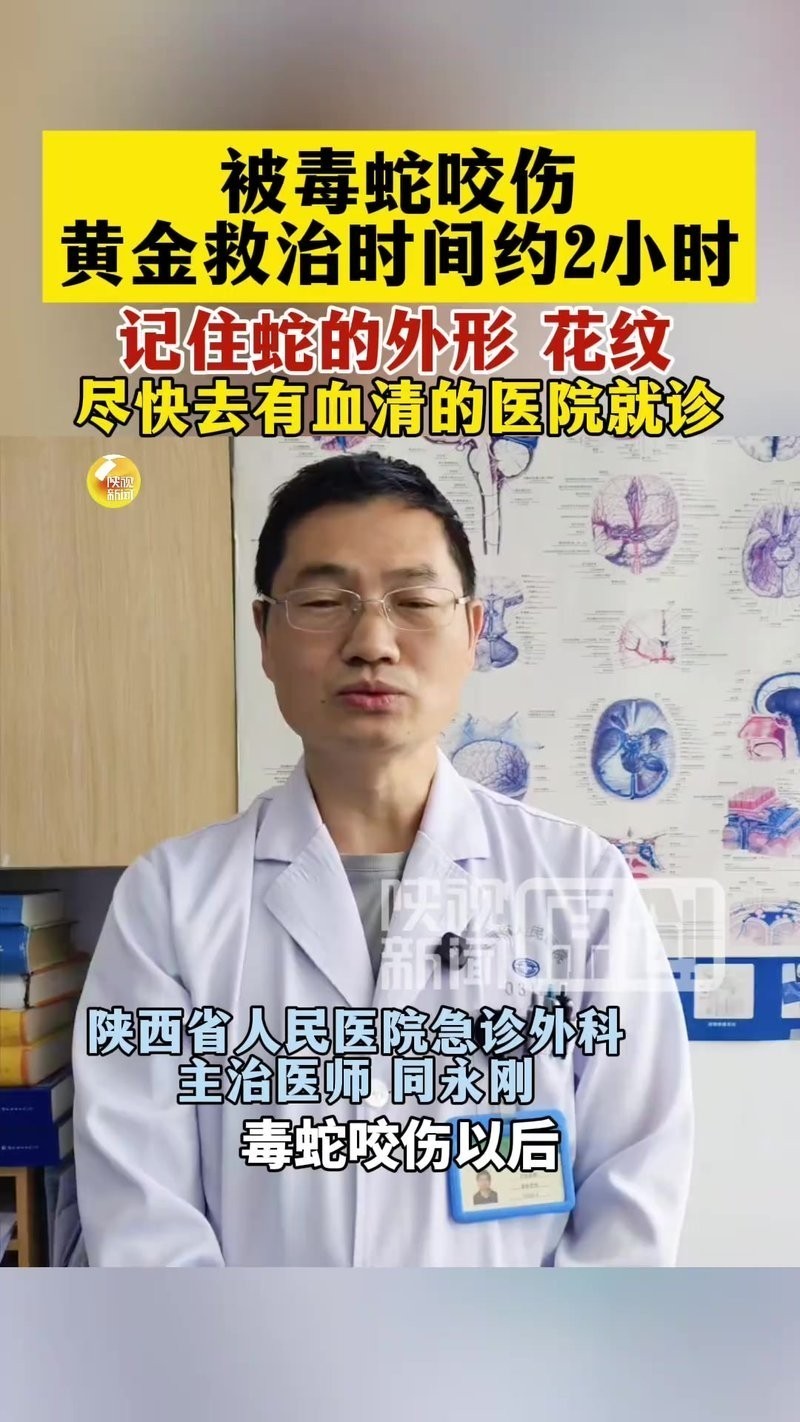 龍魚吃蜈蚣后多久會(huì)恢復(fù)？