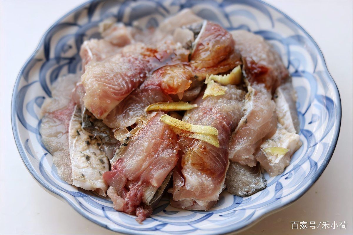 2cm龍魚苗價格【2cm龍魚苗價格是否合理2cm龍魚苗的價格是否合理】
