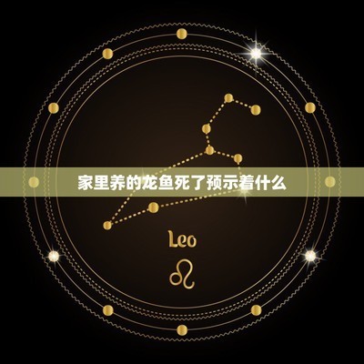 湛江創蘢網絡工程有限公司（湛江創蘢網絡工程有限公司怎么樣）