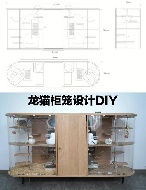 如何挑選安全的龍貓籠具？