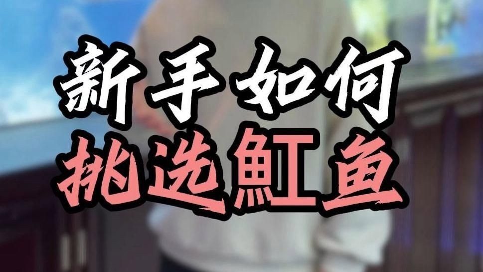 魟魚怎么分辨好壞