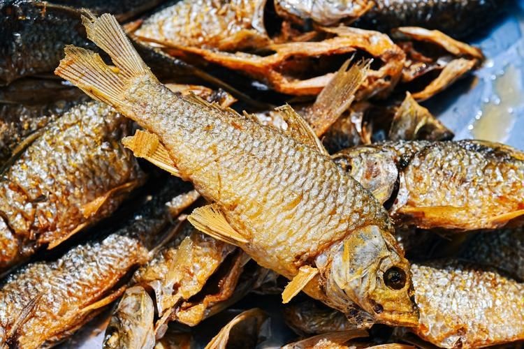 谷魚長(zhǎng)啥樣圖片