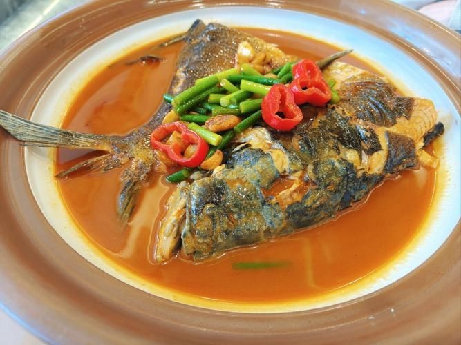 谷魚長(zhǎng)啥樣圖片