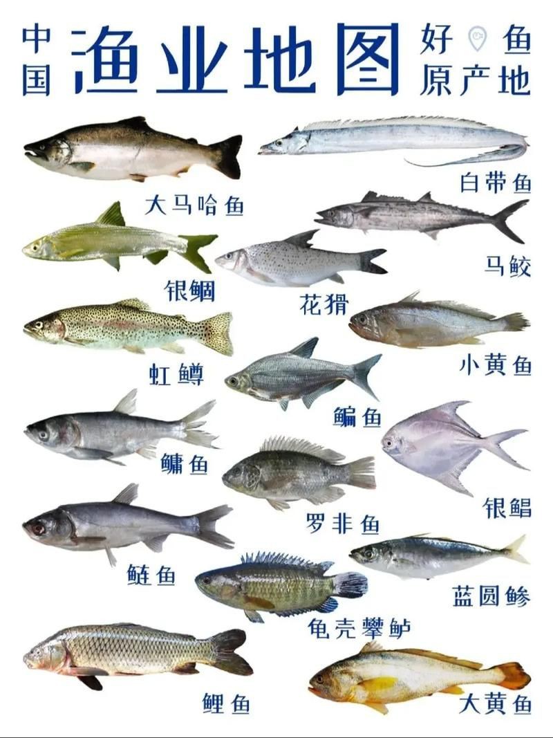 谷魚長(zhǎng)啥樣圖片