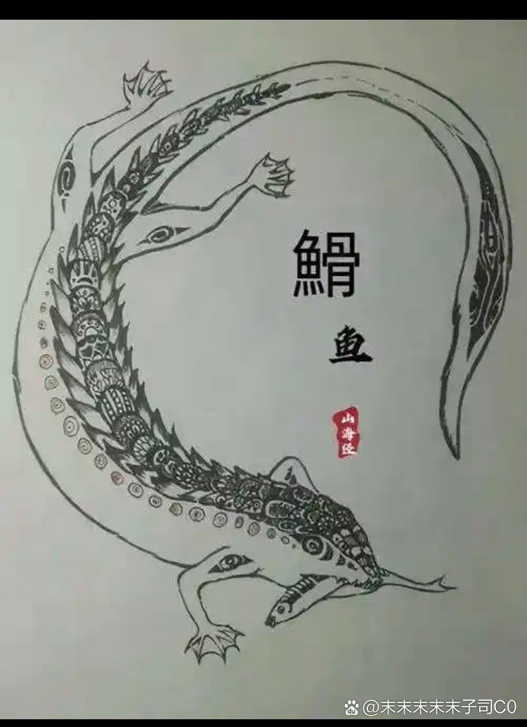 南美鰭龍魚價格